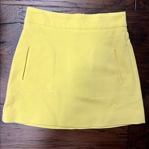 Zara Skirt. Size Small.